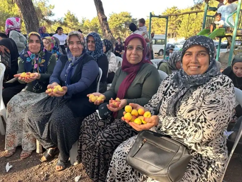 Kozaklı, İlk Kayısı Festivaliyle Şenlendi