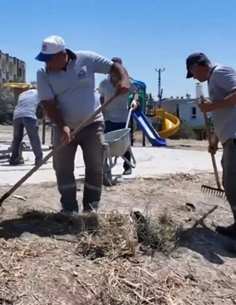 Park Ve Bahçeler Müdürlüğü Ekipleri, Park Ve Yeşil Alanlarda çalışmalarını Sürdürüyor