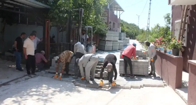 Orhangazi Yaylasında Hummalı çalışma