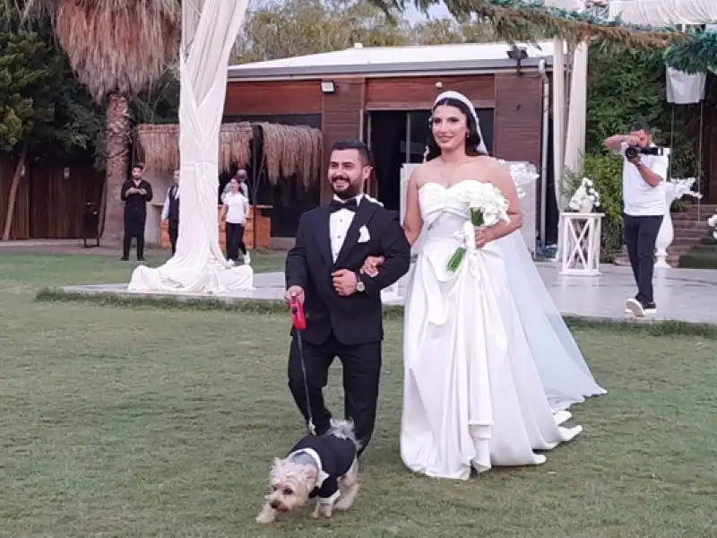 Avukat Ahmet Berk Yılmaz, Dünya Evine Girdi