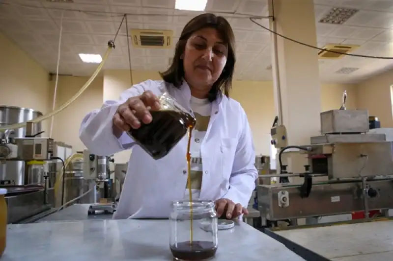 Hatay'da Maydanoz Balının Bilinirliğinin Coğrafi Işaretle Artırılması Hedefleniyor