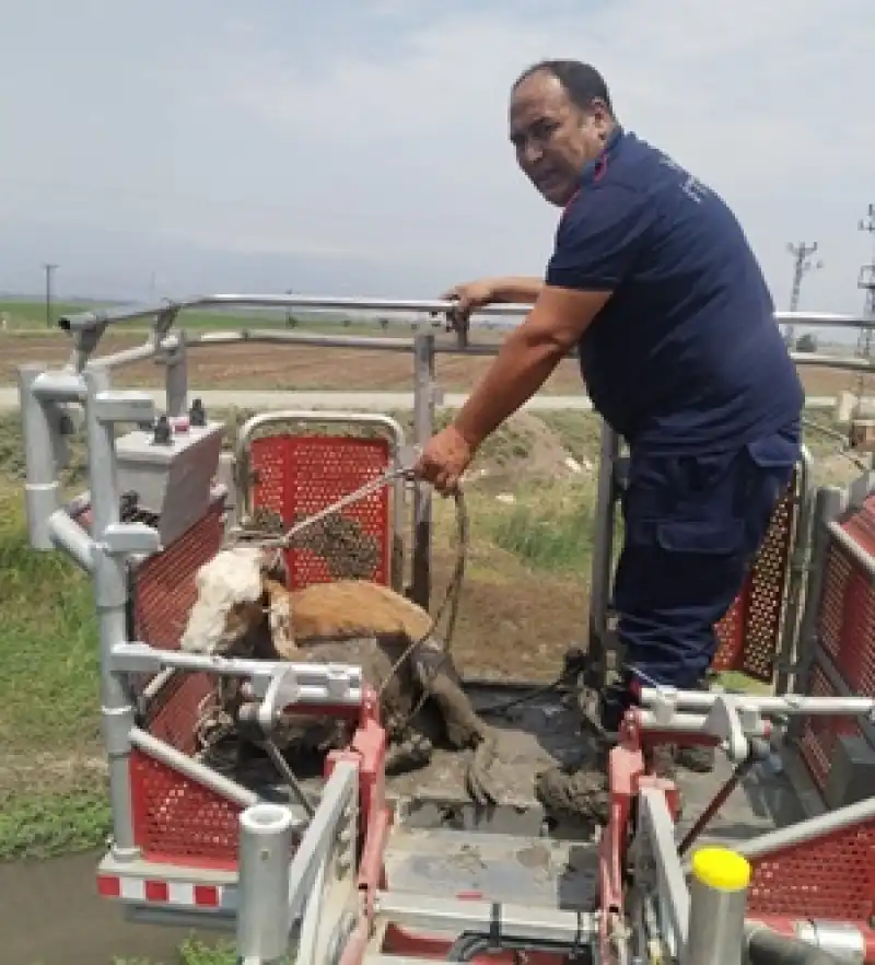 HBB Ekipleri 3 Canı Hayata Döndürdü