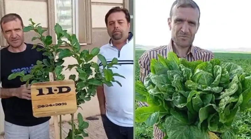 Hataylı Genç Girişimciden Tarımda Devrim!