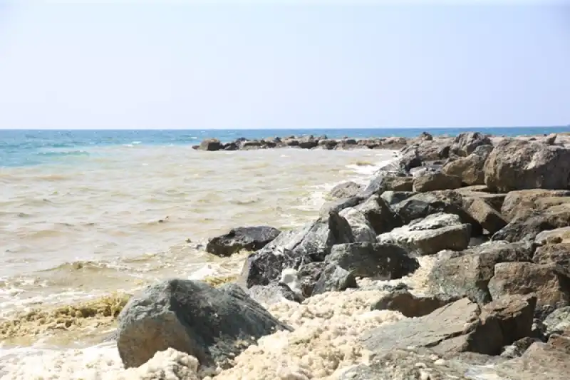 Hatay Arsuz'da Deniz Kıyısında Köpük Benzeri Tabaka Oluştu