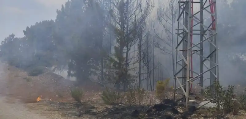 Hatay Arsuz'da Ormanlık Alanda çıkan Yangın Kontrol Altına Alındı