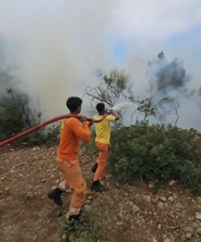Hatay Arsuz'da Ormanlık Alanda çıkan Yangın Kontrol Altına Alındı
