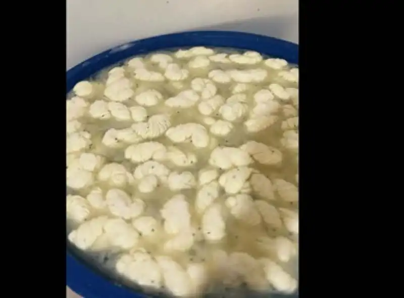 Reyhanlı’da Sağlıksız Süt Ve Ürünleri İmha Edildi