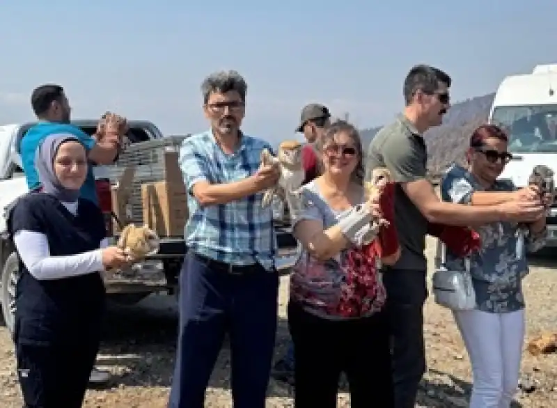 MKÜ’de Tedavileri Tamamlanan Yaban Kuşları Doğaya Salındı