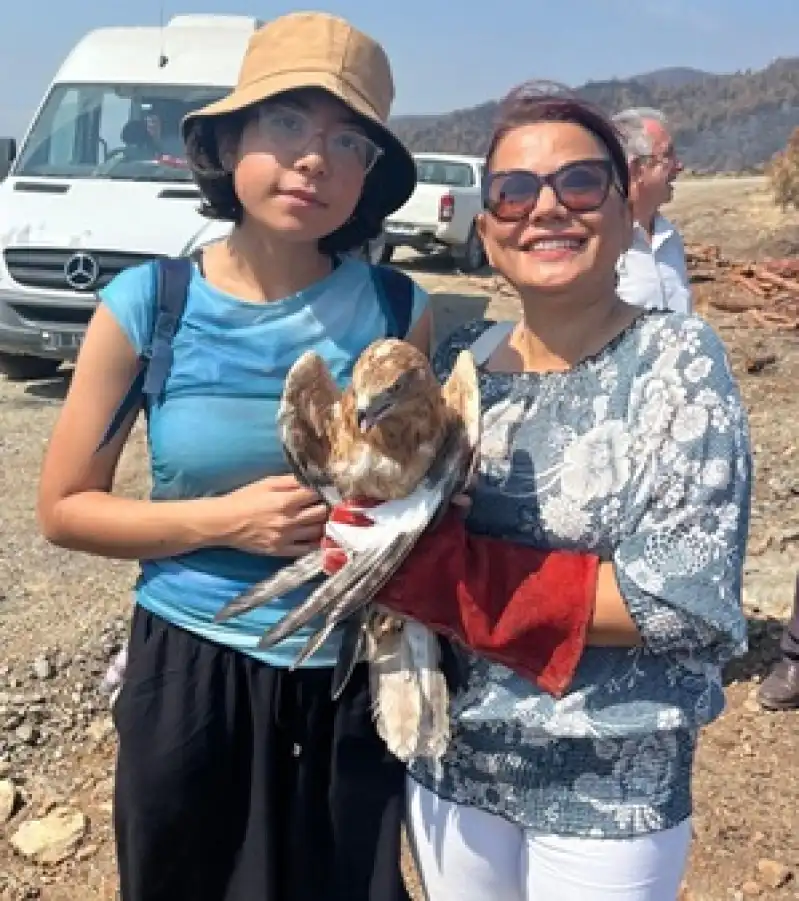 MKÜ’de Tedavileri Tamamlanan Yaban Kuşları Doğaya Salındı