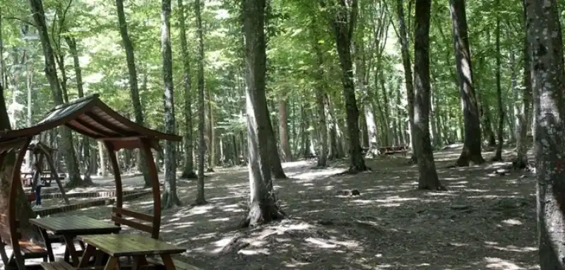 Hatay’da Ormanlık Alanlara Girişler Yasaklandı