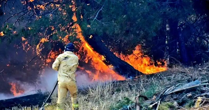 İklim Krizi Ormanları Yakıyor: Yangın Sayısı Yüzde 40 Arttı