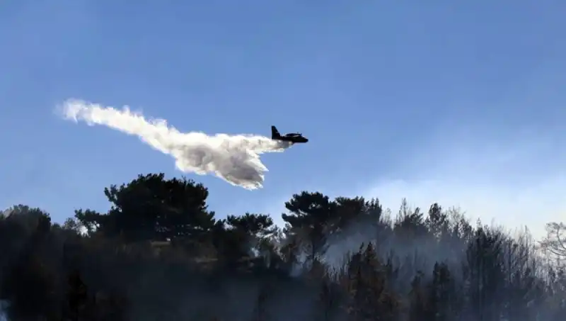 İklim Krizi Ormanları Yakıyor: Yangın Sayısı Yüzde 40 Arttı