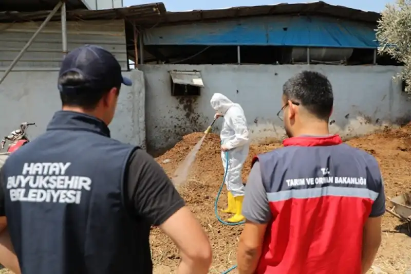 Akdeniz Meyve Sineğiyle Mücadelede üreticiye Destek