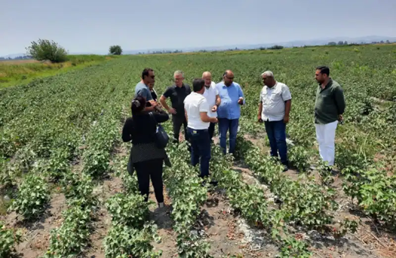 Susuz Kalan çiftçilerin Sesine Kulak Verin
