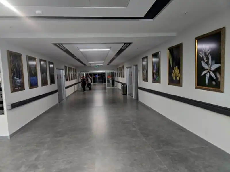 Fotoğraf Sanatçısı Hastane Koridorunda Sergi Açtı