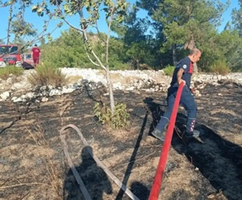 Antakya Kisecik’te Orman Yangını Kontrol Altına Alındı