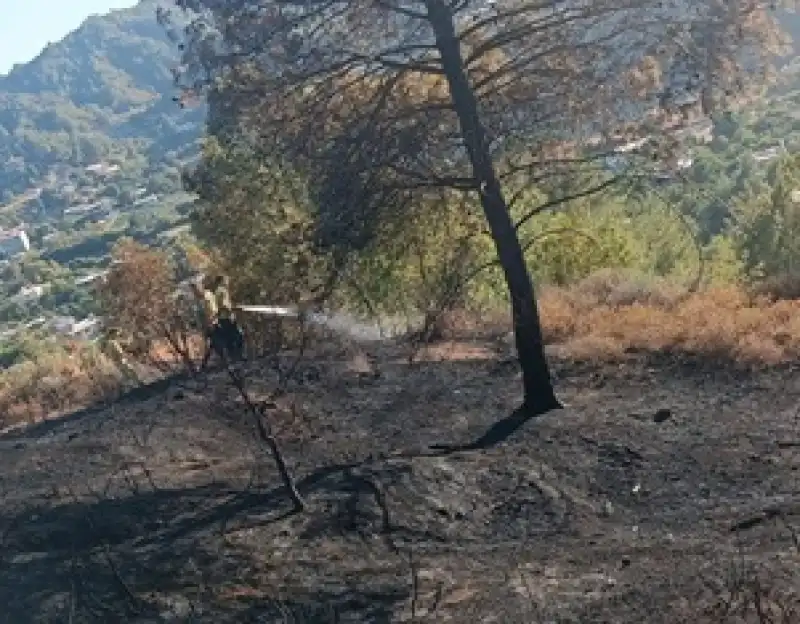 Antakya Kisecik’te Orman Yangını Kontrol Altına Alındı