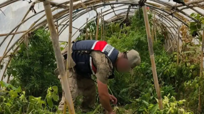 Samandağ'da Uyuşturucu Operasyonu: 5 Gözaltı!