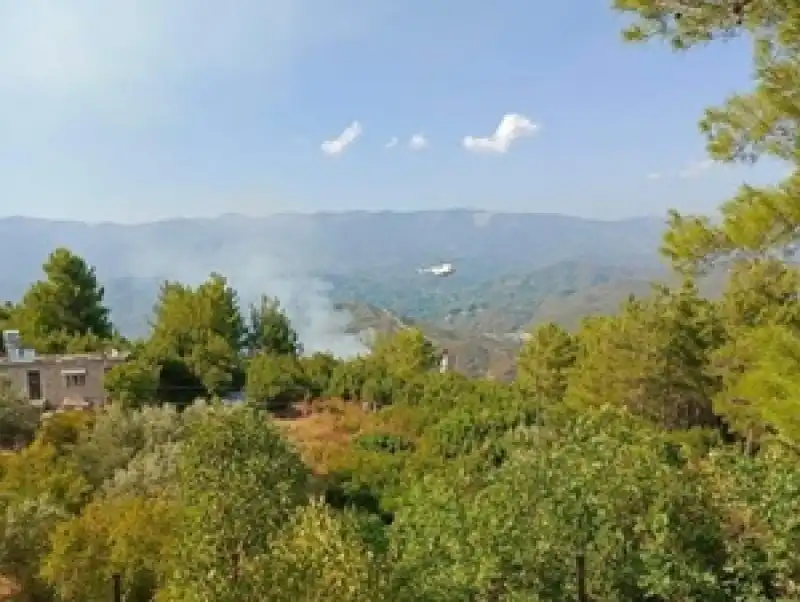 Samandağ Batıayaz’da Çıkan Orman Yangını Büyümeden Söndürüldü