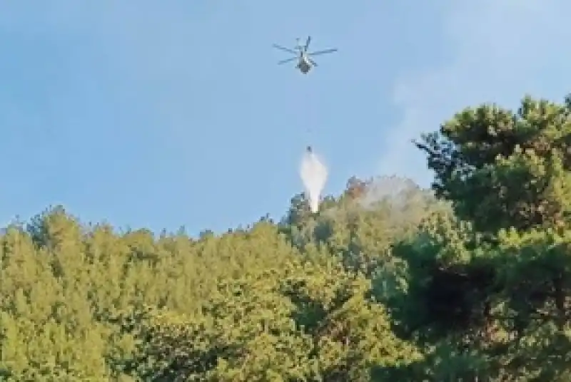 Samandağ Batıayaz’da Çıkan Orman Yangını Büyümeden Söndürüldü