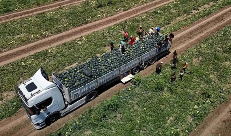 Devletin Tarım Destekleri Kırsal Üretime Katkı Sağlıyor 