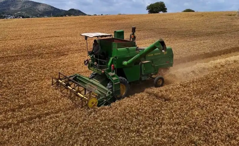 Devletin Tarım Destekleri Kırsal Üretime Katkı Sağlıyor 