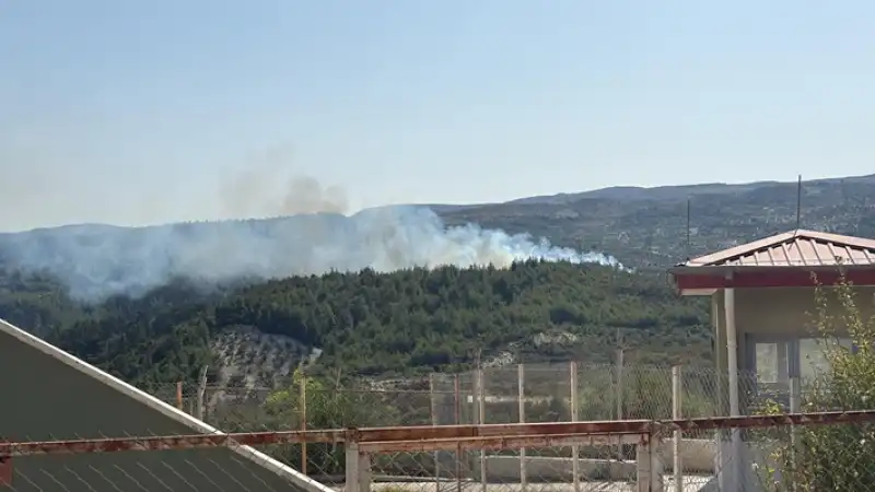 Hatay Yayladağı’nda Ormanlık Alanda Yangın çıktı