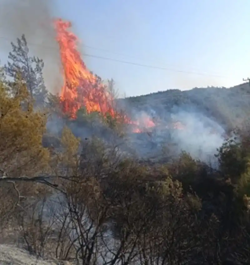 Hatay Yayladağı’nda Ormanlık Alanda Yangın çıktı