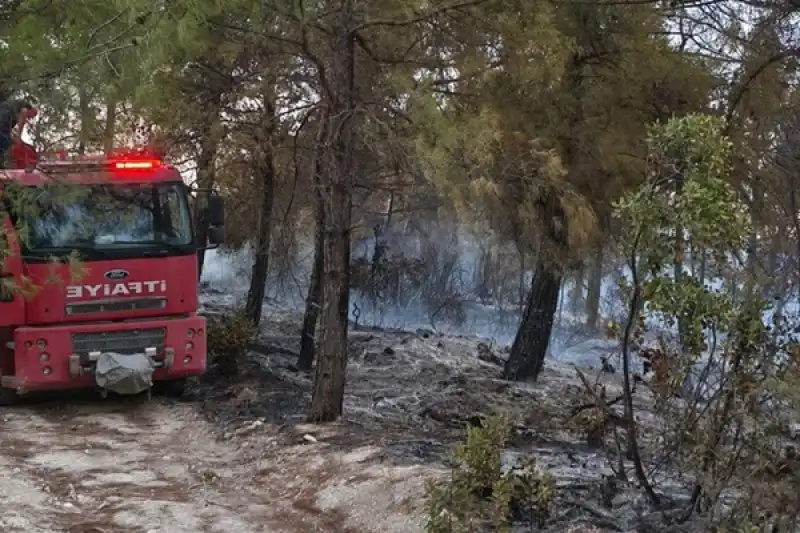 Sınırdaki Orman Yangınına HBB’den Müdahale