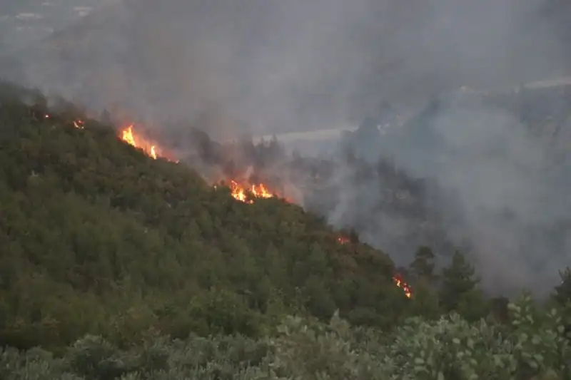 Hatay'da çıkan Orman Yangını Kontrol Altına Alındı