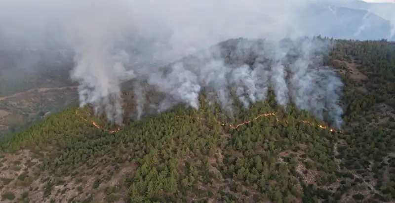 Hatay Hassa'da Dün çıkan Orman Yangınına Müdahale Ediliyor