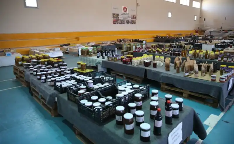 Hatay'da Kadın Kooperatifleri üretime Katkı Sağlamaya Devam Ediyor 