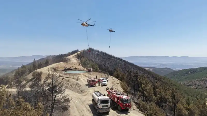 Hatay Hassa'da Dün çıkan Orman Yangınında 1115 Kişi Tahliye Edildi