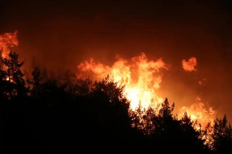 Hatay Yayladağı'nda Orman Yangını çıktı 