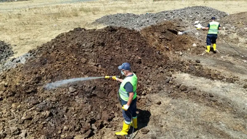 Akdeniz Meyve Sineğiyle Mücadele Sürüyor 4