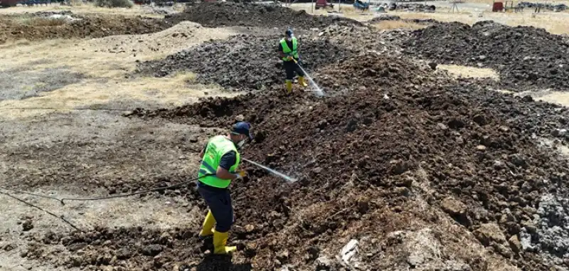 Akdeniz Meyve Sineğiyle Mücadele Sürüyor 4