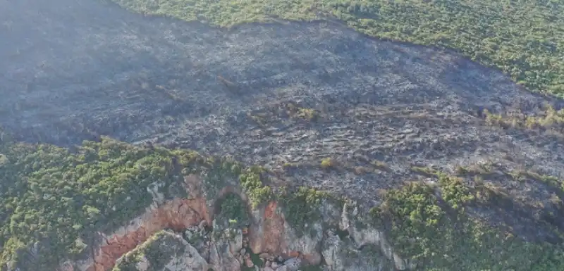 Hatay Yayladağı'ndaki Orman Yangını Kontrol Altına Alındı