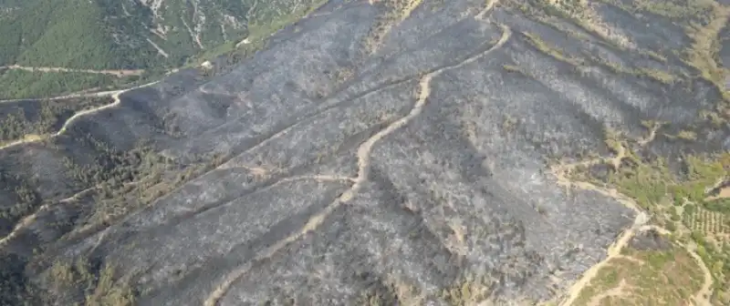 Hatay Hassa'daki Orman Yangını Büyük ölçüde Kontrol Altına Alındı