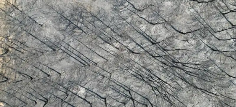 Hatay Hassa'daki Orman Yangını Büyük ölçüde Kontrol Altına Alındı