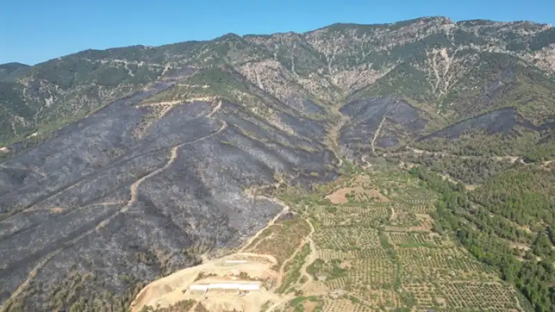 Hatay Hassa'daki Orman Yangını Büyük ölçüde Kontrol Altına Alındı