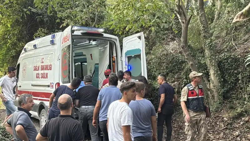 Hatay Dörtyo'da Uçuruma Yuvarlanan Traktörün Sürücüsü Yaralandı