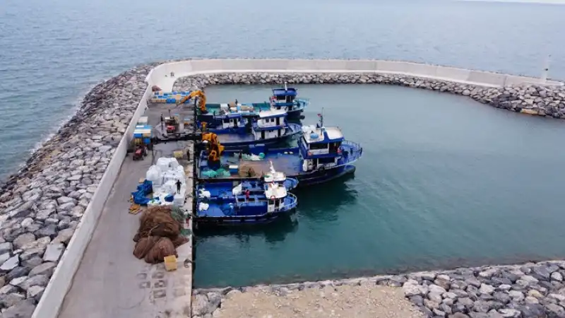 Hatay'da Kafeste Yetiştirilen Balıklar Avrupa ülkelerine Ihraç Ediliyor