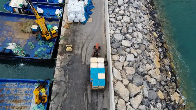 Hatay'da Kafeste Yetiştirilen Balıklar Avrupa ülkelerine Ihraç Ediliyor