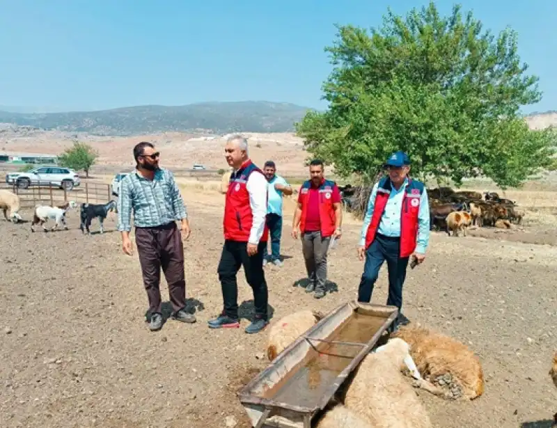 Türkmen, Küçükbaş Hayvan üreticilerini Ziyaret Etti