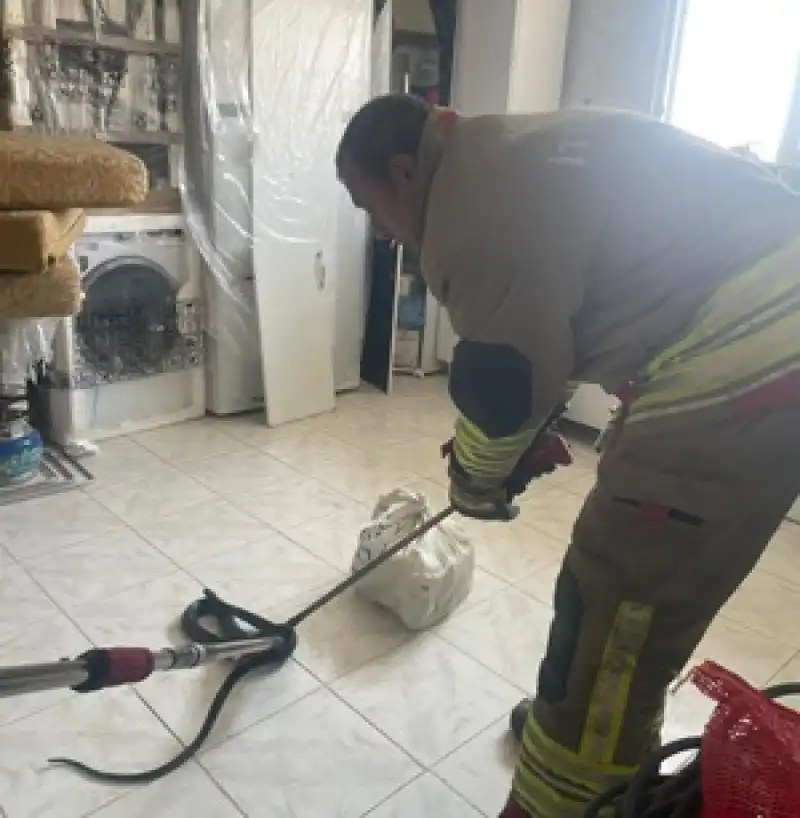 Antakya'da Eve Giren Yılan Itfaiye Ekibince Yakalandı