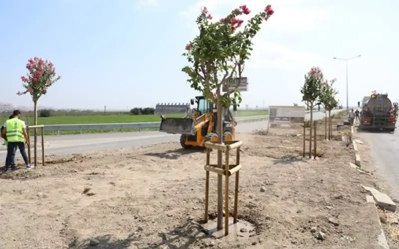 Büyükşehir’den Havaalanı Yolunda Ağaçlandırma