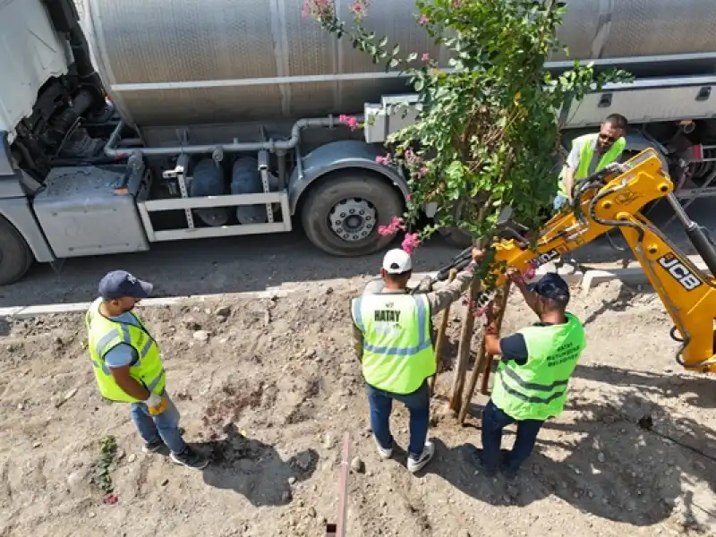 Büyükşehir’den Havaalanı Yolunda Ağaçlandırma