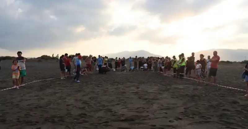 Hatay Samandağ'da Yumurtalarından çıkan Kaplumbağa Yavruları Denizle Buluştu