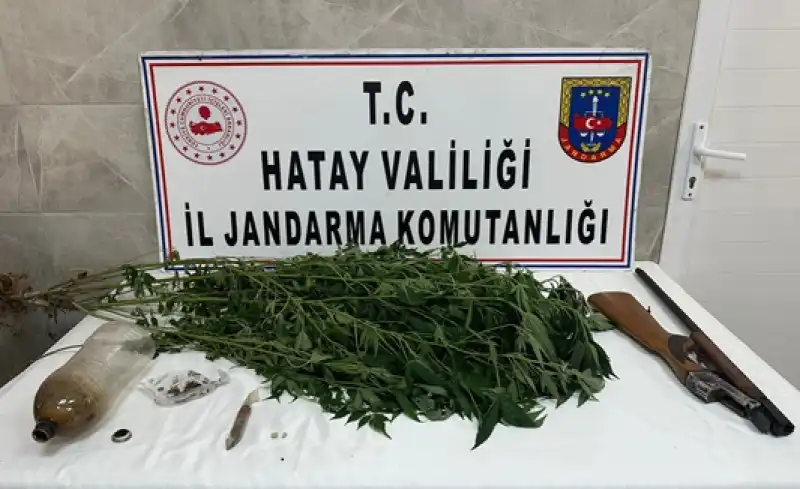 Payas'ta Uyuşturucu Operasyonunda 1 şüpheli Yakalandı