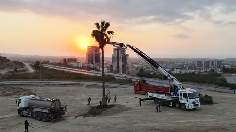 Hatay’da Ağaçlara Yeni Yaşam Alanı